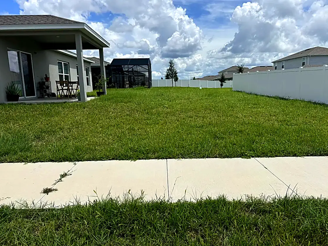 Cut clean to the fence line